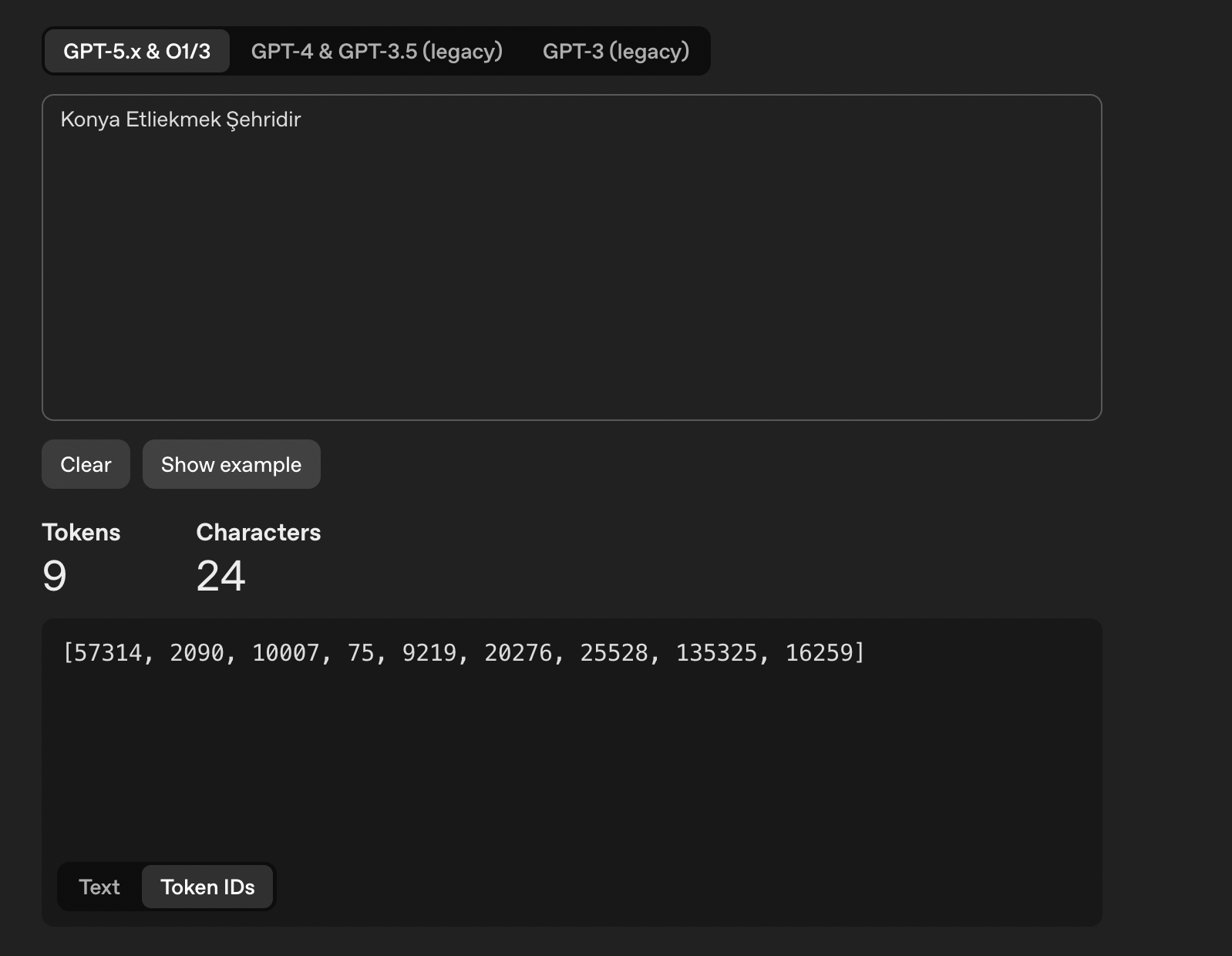 Tokenizer Token ID'leri